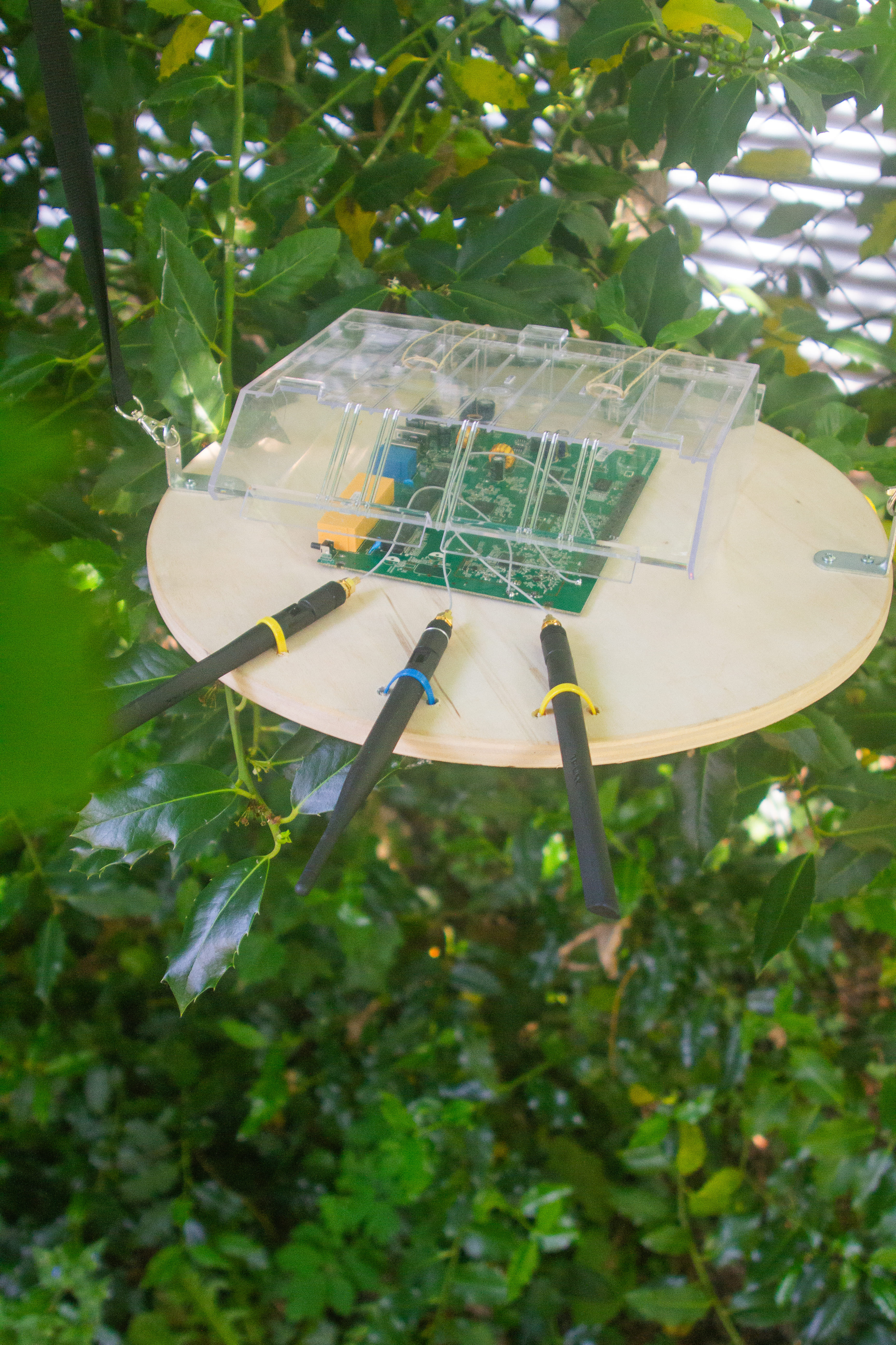 Ciphes Node