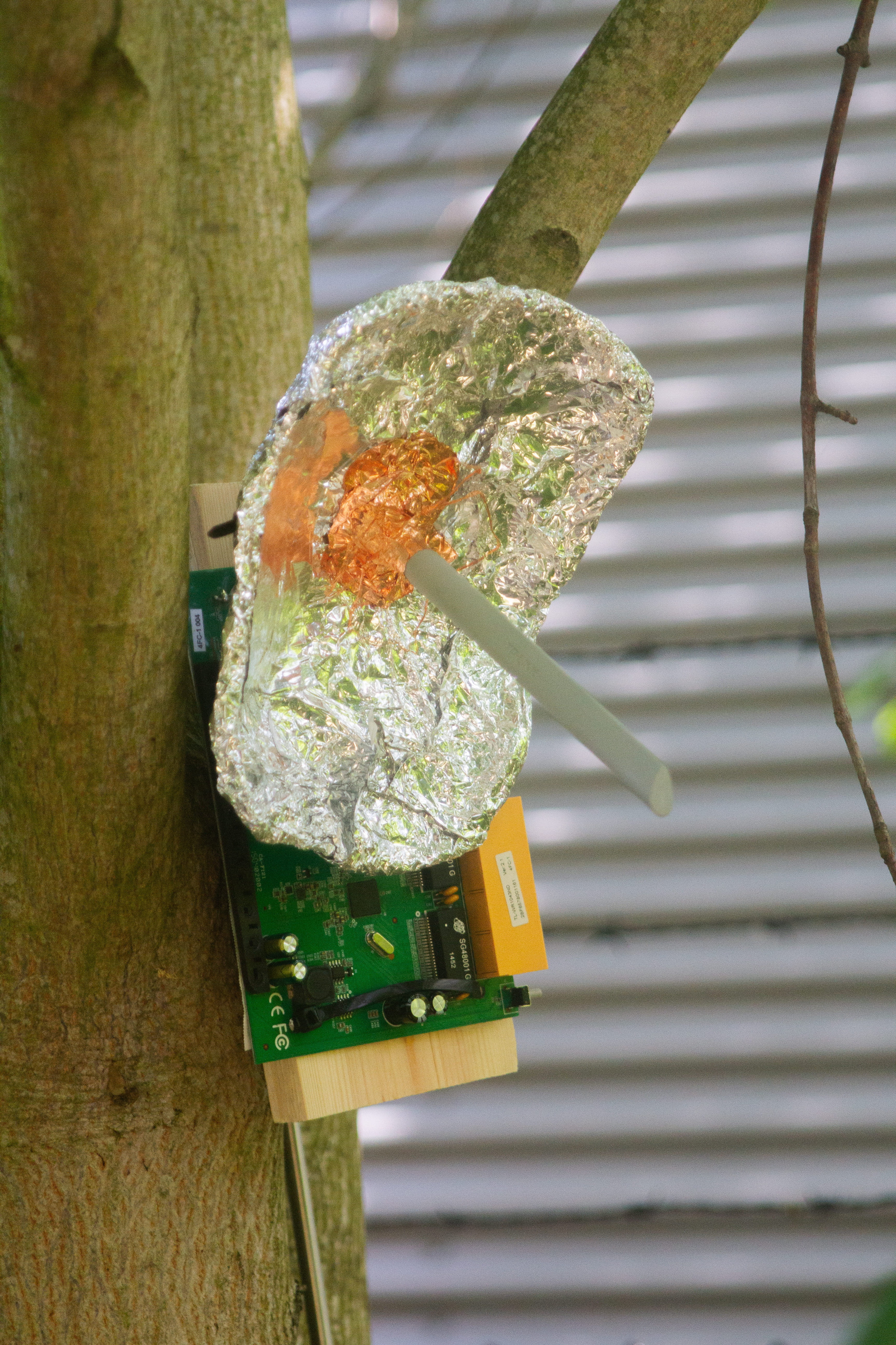 Signal Enhancer