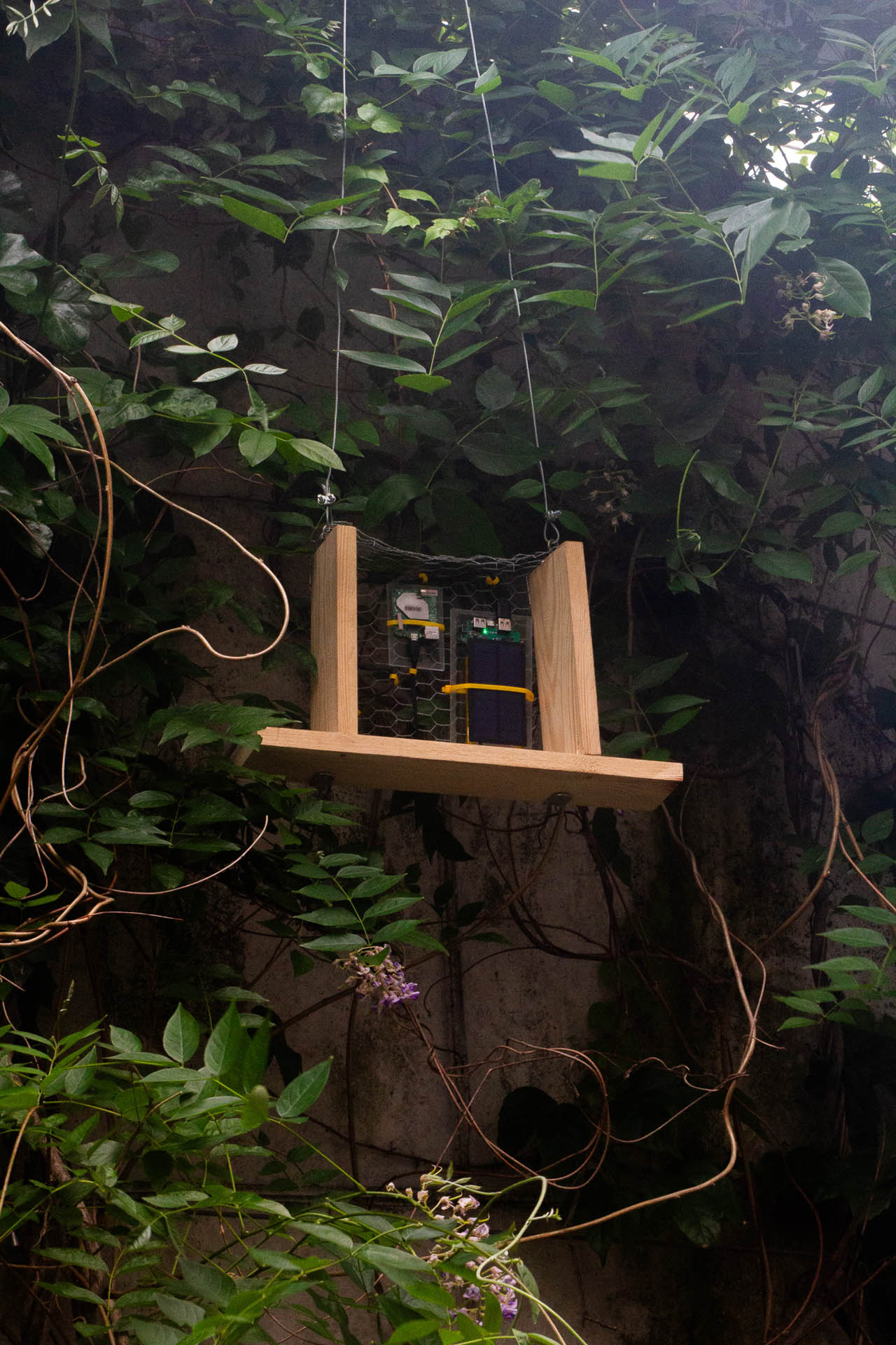 Wood Node